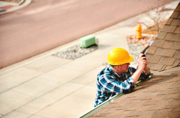 Best Roof Moss and Algae Removal  in Halls, TN